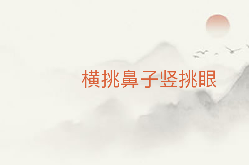 横挑鼻子竖挑眼