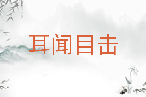 耳闻目击