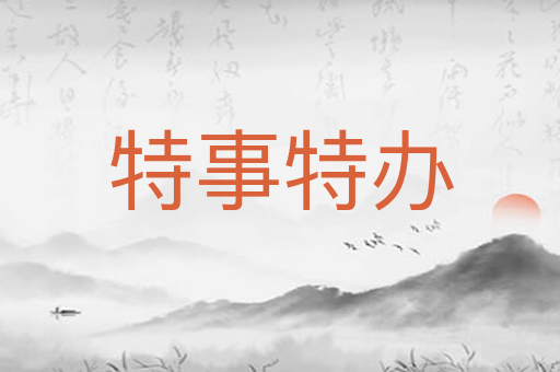 特事特办