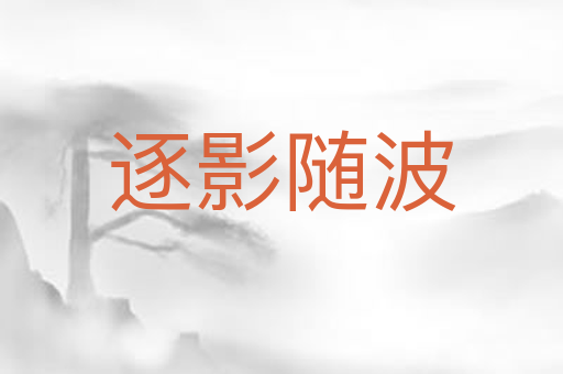 逐影随波