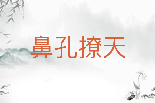 鼻孔撩天