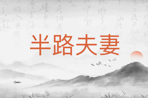 半路夫妻