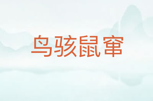 鸟骇鼠窜