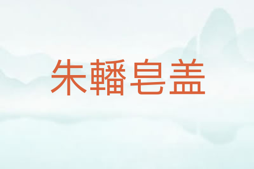 朱轓皂盖
