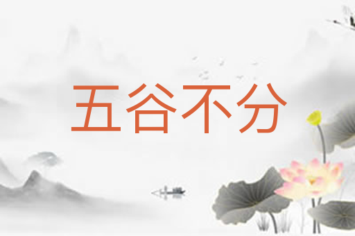 五谷不分