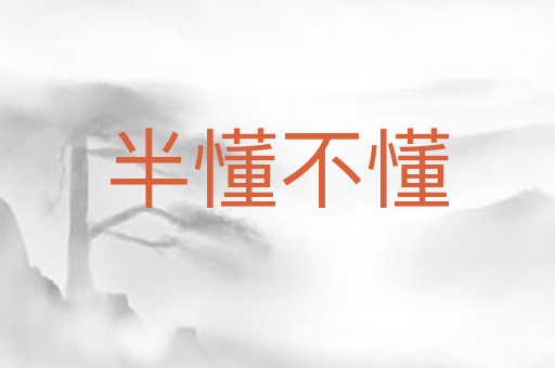 半懂不懂