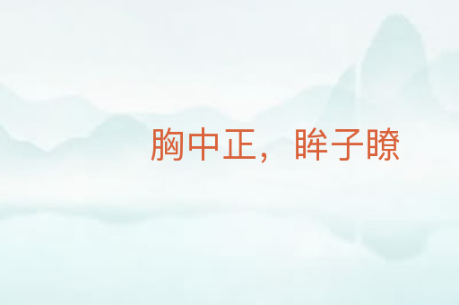 胸中正,眸子瞭