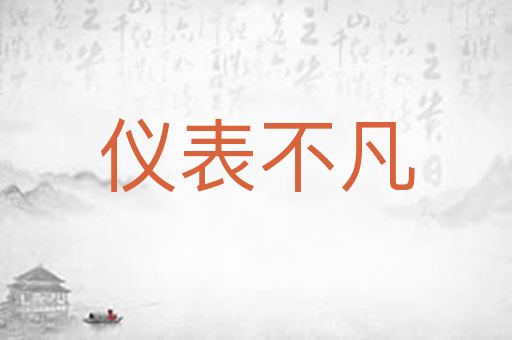 仪表不凡