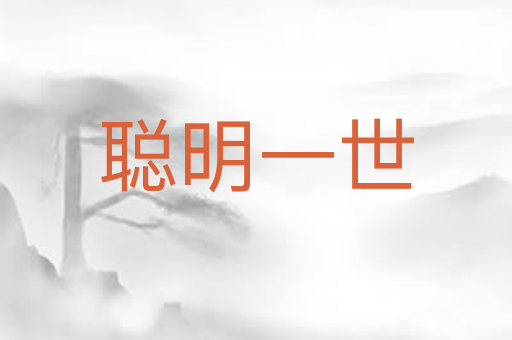 聪明一世