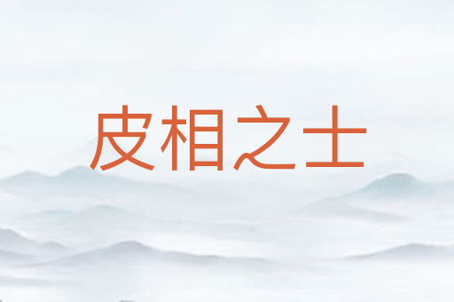 皮相之士
