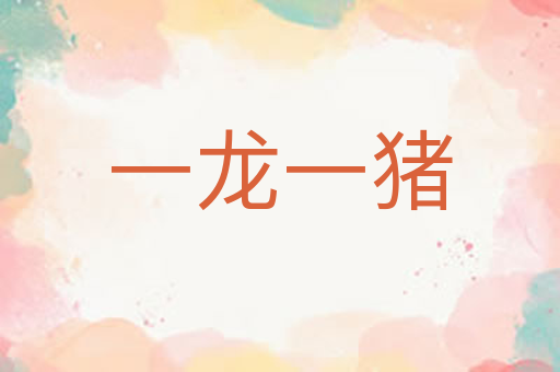 一龙一猪