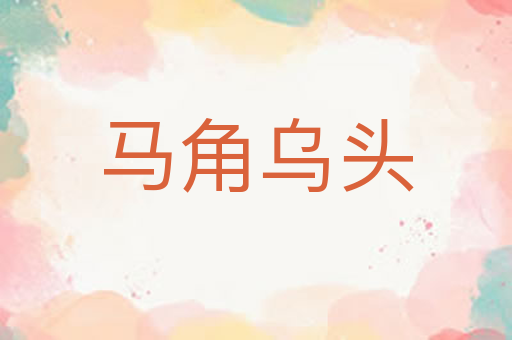 马角乌头