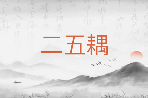 二五耦