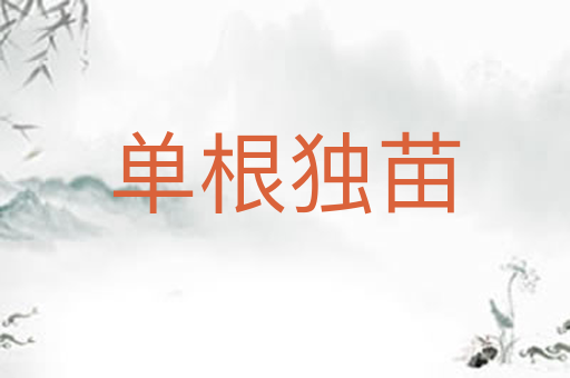 单根独苗