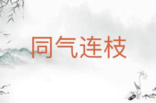 同气连枝