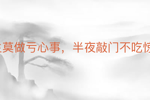 平生莫做亏心事,半夜敲门不吃惊