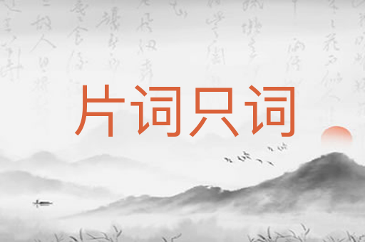 片词只词