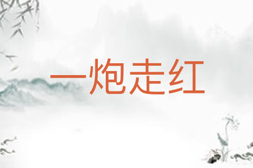 一炮走红