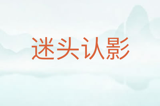 迷头认影