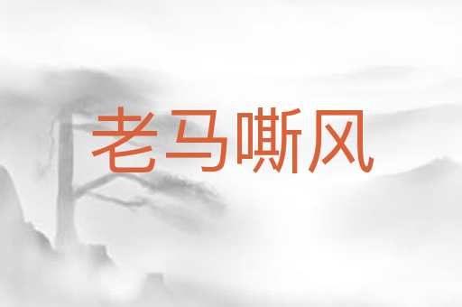 老马嘶风