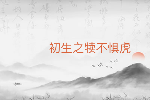 初生之犊不惧虎
