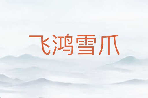 飞鸿雪爪