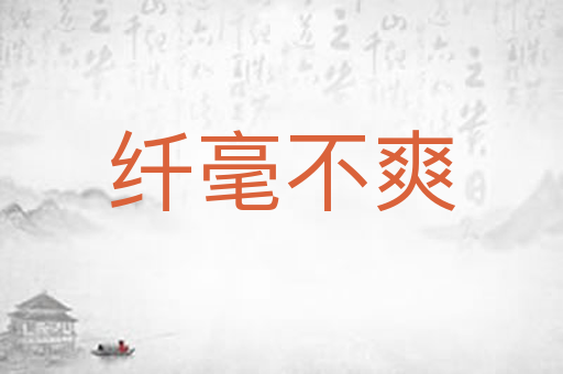 纤毫不爽