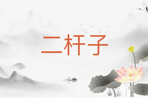 二杆子