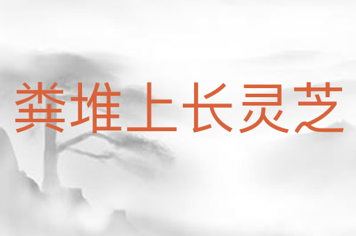 粪堆上长灵芝
