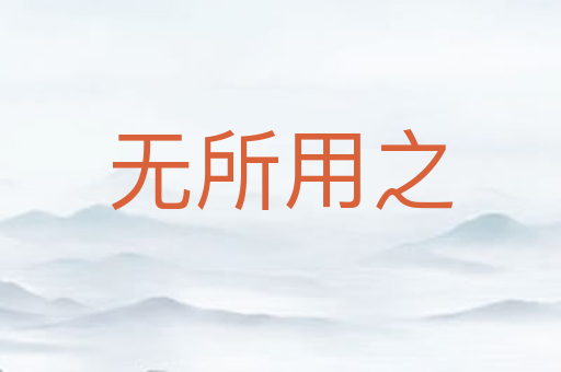 无所用之