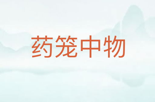 药笼中物