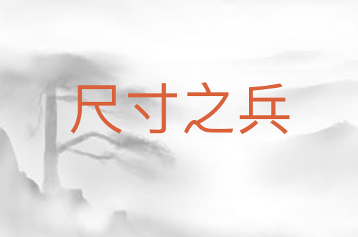 尺寸之兵