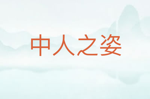 中人之姿