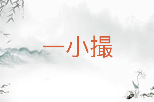 一小撮