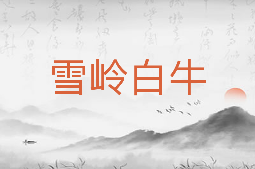 雪岭白牛