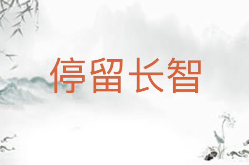 停留长智