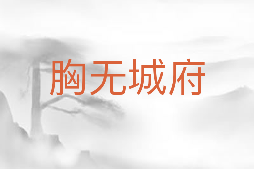 胸无城府