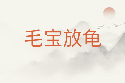 毛宝放龟