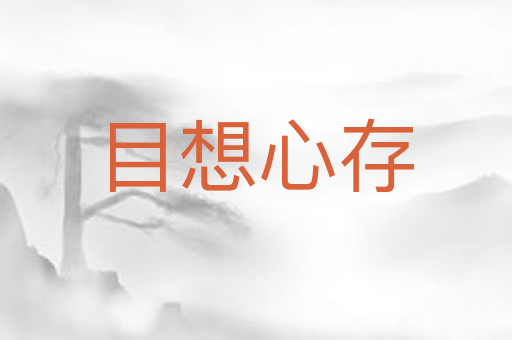 目想心存