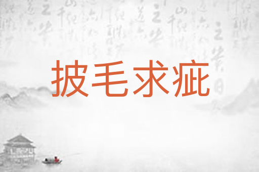 披毛求疵