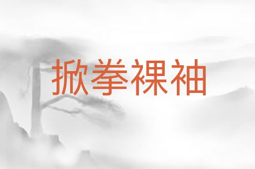 掀拳裸袖