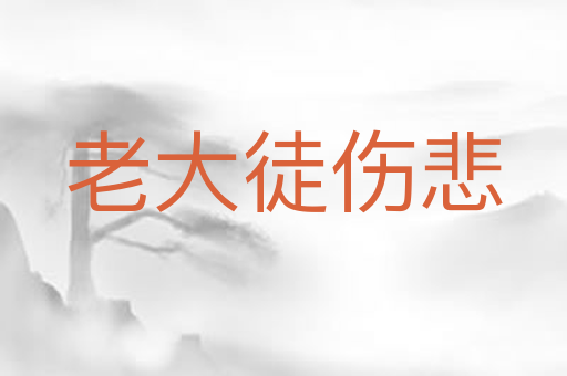 老大徒伤悲