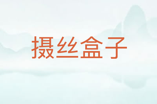 摄丝盒子