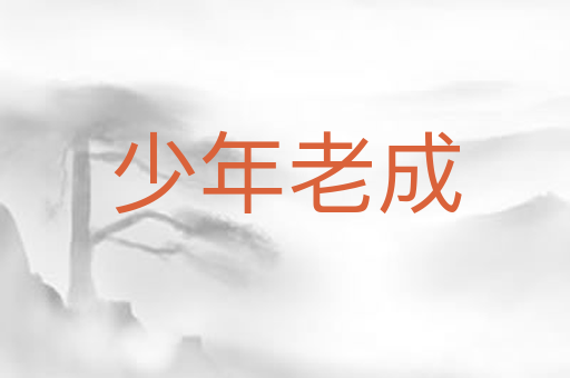 少年老成