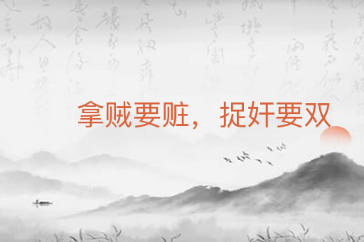 拿贼要赃,捉奸要双
