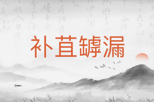 补苴罅漏