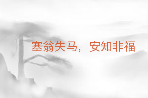 塞翁失马，安知非福