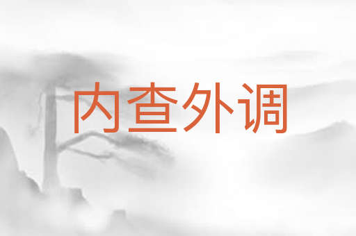 内查外调