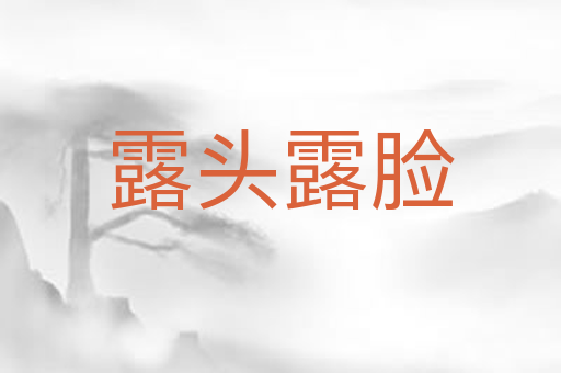 露头露脸