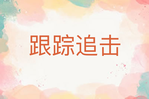 跟踪追击